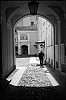 L1003582.jpg