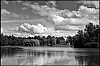 L1003603_1.jpg