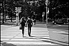L1003642.jpg
