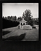 PX008.jpg