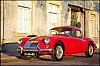 frontalmga1600-55.jpg