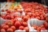 tomates.jpg