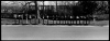 xpan_001.jpg