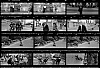xpan_004.jpg
