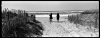 xpan_017.jpg