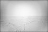 2-L1004255.jpg