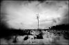 4-L1004176.jpg