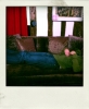 IMG_0320-pola.jpg