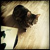 IMG_7116.jpg