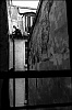 L1001295.jpg