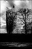 L1002222.jpg