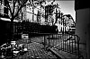 L1002361.jpg