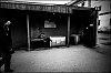 L1003717.jpg
