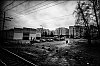 L1003825.jpg