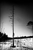 L1004306.jpg