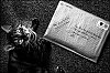 L1006092-2.jpg