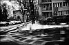 L1008439.jpg