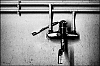 L1141418.jpg