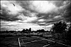 L1142713.jpg