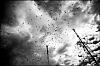 L1142723.jpg