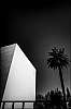 L1144357.jpg