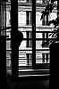 L1145373.jpg