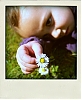 PetiteFleur.jpg