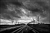 RN10a.jpg
