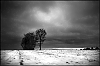 neige~0.jpg