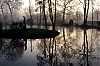 parc.jpg