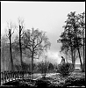 parc2.jpg