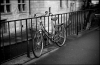 velo.jpg