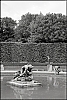 M2Summicron50V007.jpg