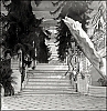 RolleiflexTriXKahn005.jpg
