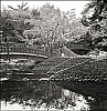 RolleiflexTriXKahn011.jpg