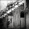 TLRBuisAcros007.jpg
