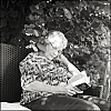 TLRBuisAcros018.jpg