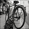 TLRBuisAcros027.jpg