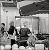 TLRBuisAcros057.jpg