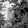 TLRBuisAcros077.jpg
