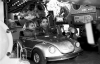 11-03-037x-copie-Pirates.jpg