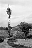 1979-09-ndeg08-Environs-de-St-Pierre-28Forcalquier29~0.jpg