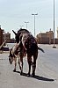 1983-84-Dia-129-Anes-a-Buraydah.jpg