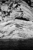 2016-05--ndeg01-c-700.jpg