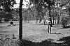 2016-05--ndeg25-c-700.jpg