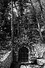 2016-05--ndeg29-c-700.jpg
