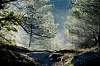 2016-DSCF9681-Massif-de-la-Sainte-Baume-rec-c-700~0.jpg