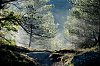 2016-DSCF9681-Massif-de-la-Sainte-Baume-rec-c-700~1.jpg