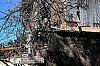 2019-DSC0059-La-Treille---Marseille---La-bastide-neuve-de-Pagnol.jpg