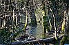 2019-DSCF8501-Gorges-du-Caramy.jpg